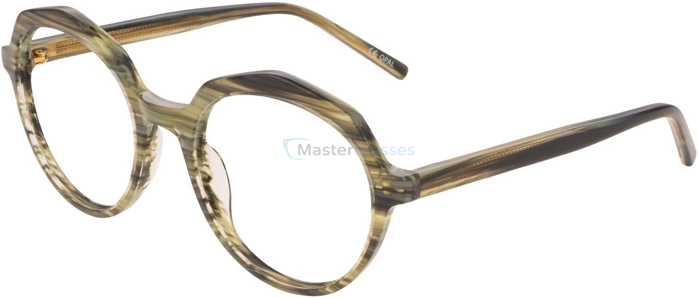 Оправа Opal Premium OPAA 208 C79
