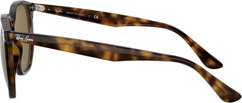 Солнцезащитные очки Ray-Ban RB4306 710/73 Havana