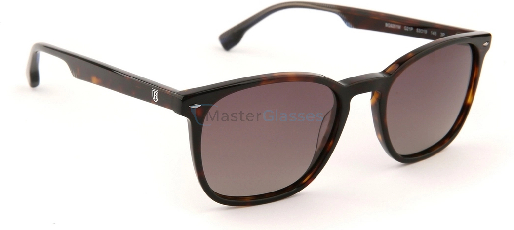 Солнцезащитные очки Bulget BG9281M G21P