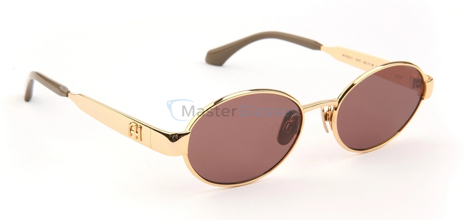 Солнцезащитные очки Ana Hickmann AH3341 04C