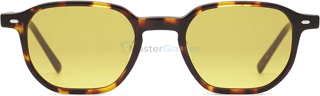 Солнцезащитные очки Carolina Lemke CL9561 4
