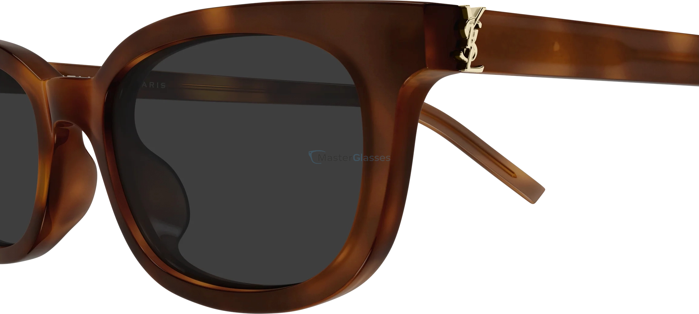 �������������� ���� Saint Laurent SL M160/F-003