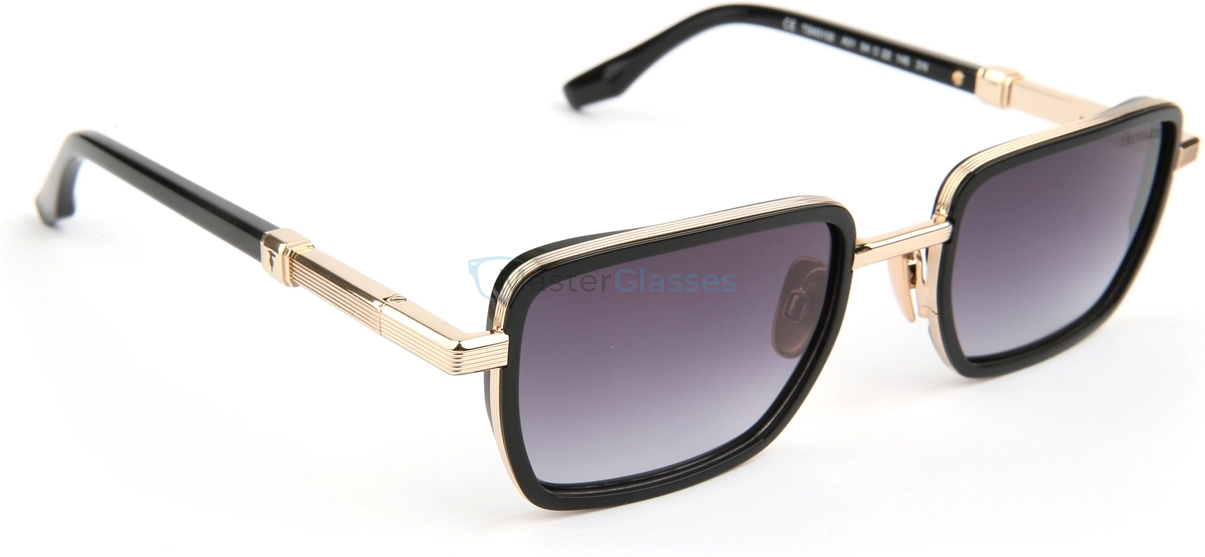�������������� ���� Trussardi TSM3102 A01