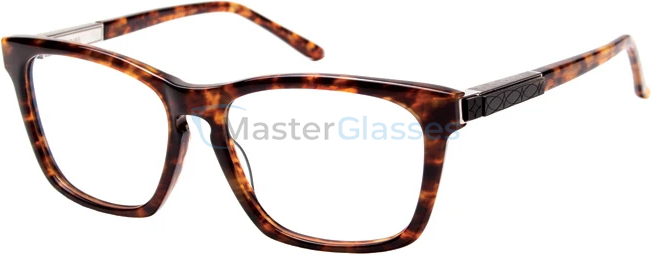 ������ Leisure Society Duke TORT