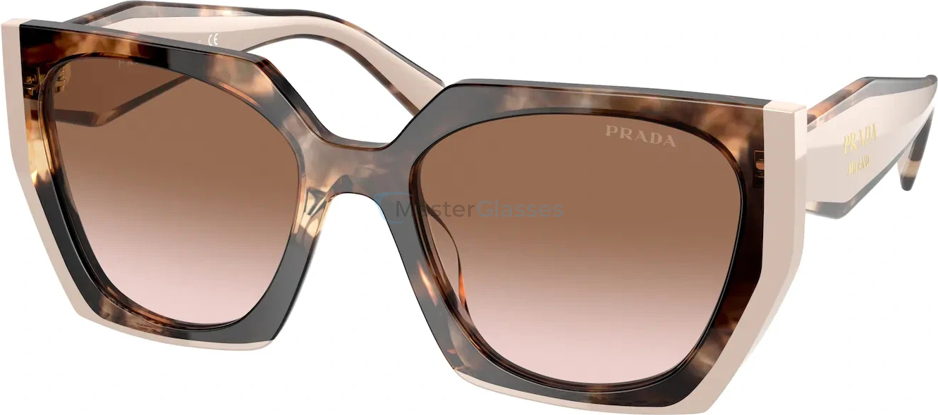 Солнцезащитные очки Prada PR 15WS 01R0A6 Tortoise Caramel/powder