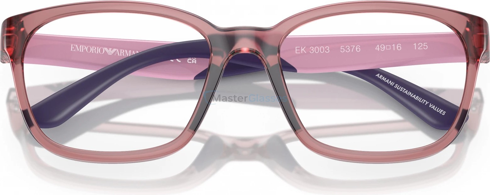 Детская оправа Emporio Armani EK3003 5376 Violet