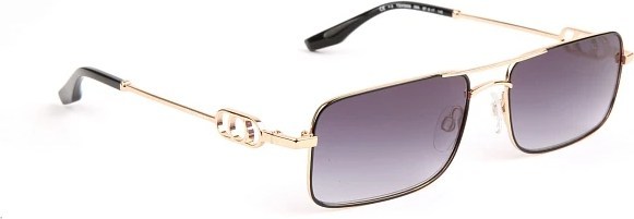 �������������� ���� Trussardi TSW3006 09A