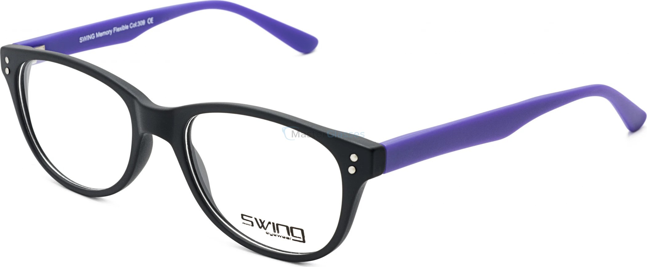 ������ SWING TR069 309