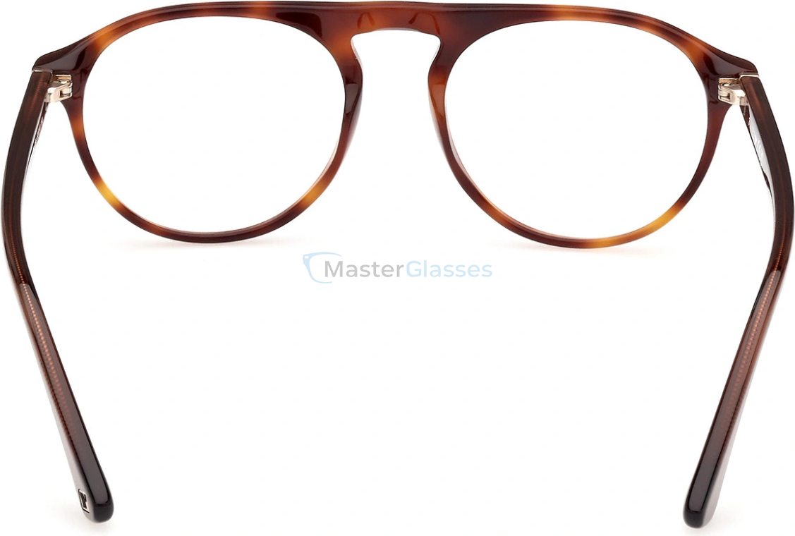 ������ Web Eyewear WE 5429 056 52