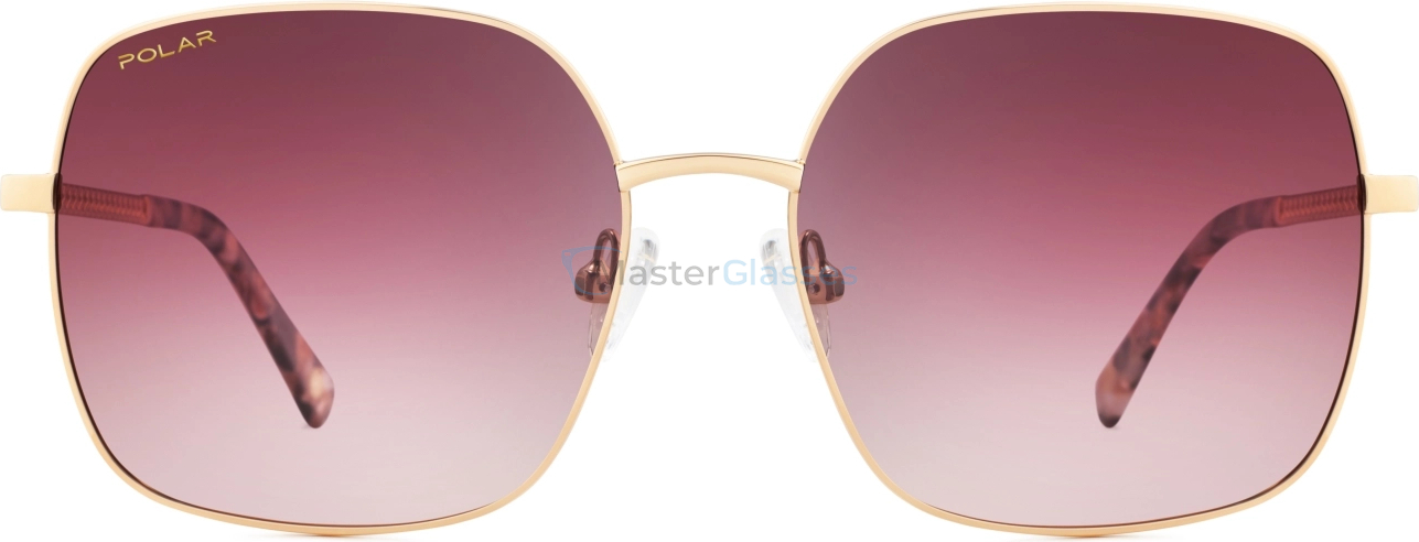 Солнцезащитные очки Polar Gold 306 col. 02/R