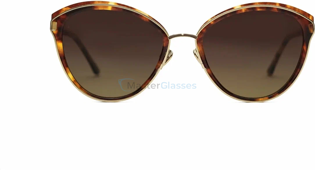 �������������� Leisure Society Lovelace. TORTOISE