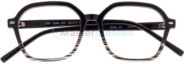 ������ Opal OWII 384 C61