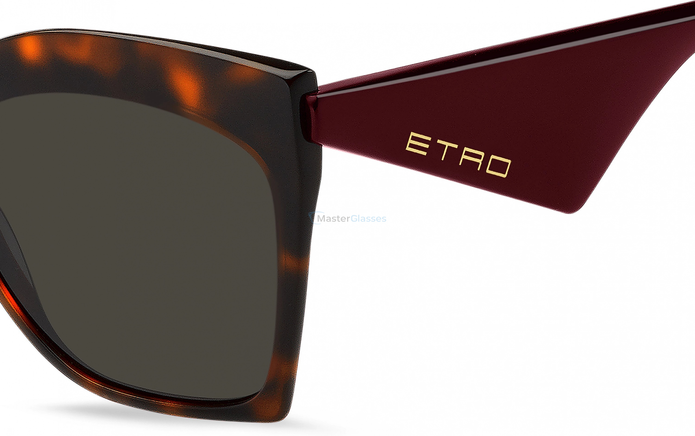 �������������� ���� ETRO 0044/S 65T Havana Burgundy