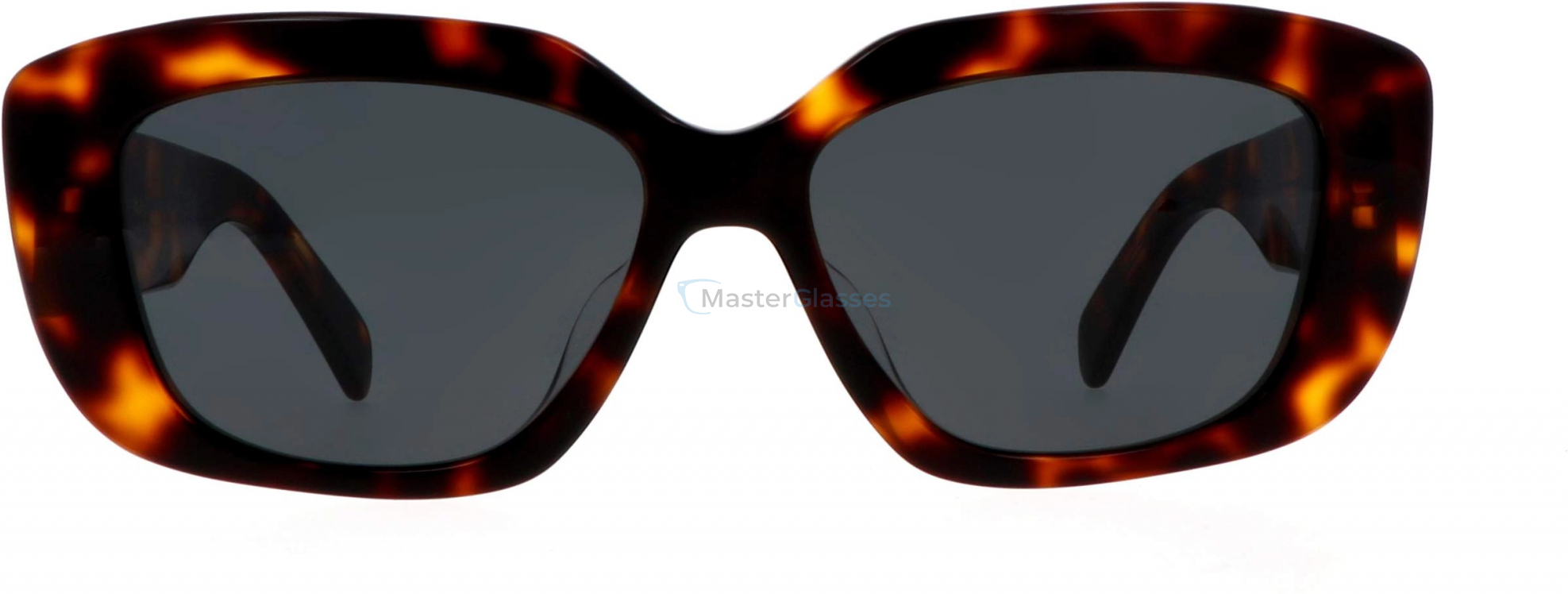 �������������� ���� Celine Triomphe CL40216F 53A 55