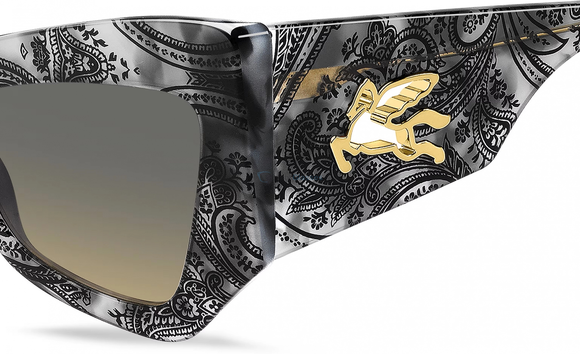 Солнцезащитные очки ETRO ETROMANIA AB8 Havana Grey