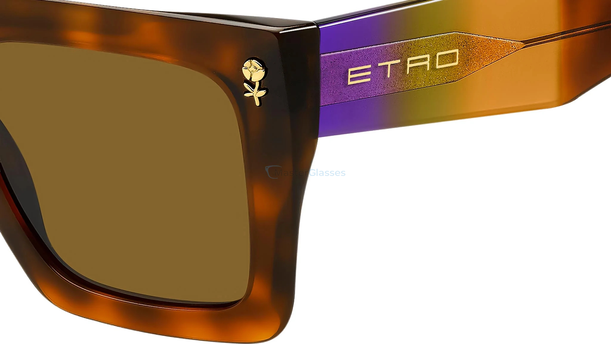 Солнцезащитные очки ETRO 0089/S C9B Havana Honey