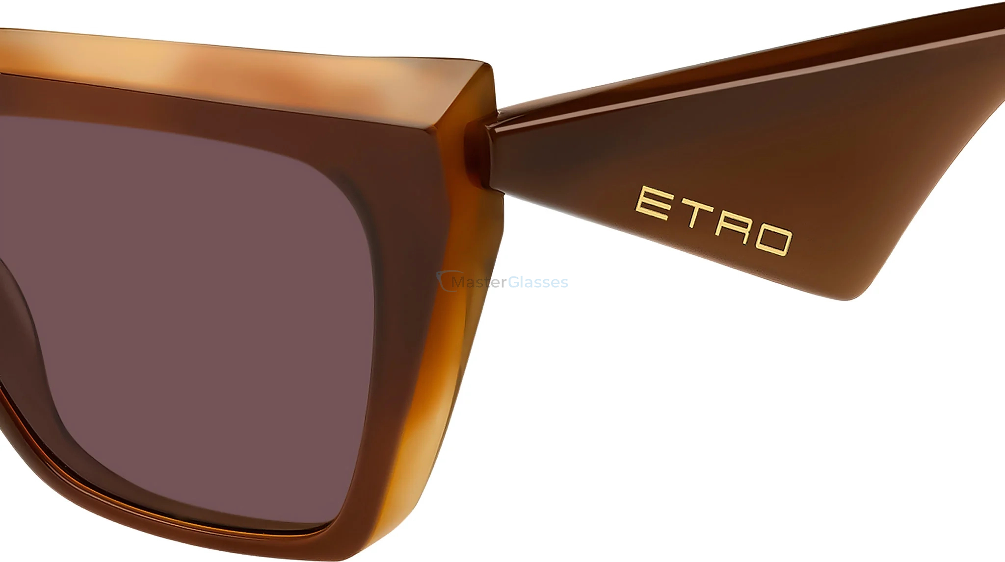 Солнцезащитные очки ETRO 0096/G/S WR9 Brown Havana