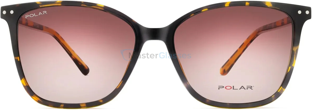 ������ � �������������� �������� Polar 623 Clip-on col. 428