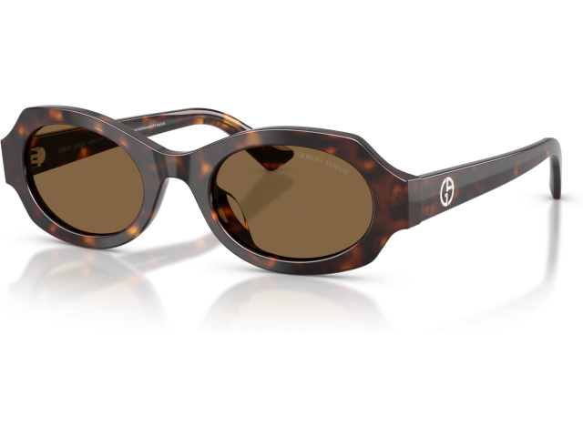 Giorgio Armani AR8245HU 587973 Tortoise