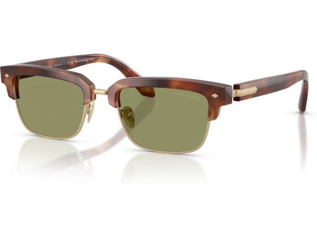 Giorgio Armani AR8243 630214 Brown