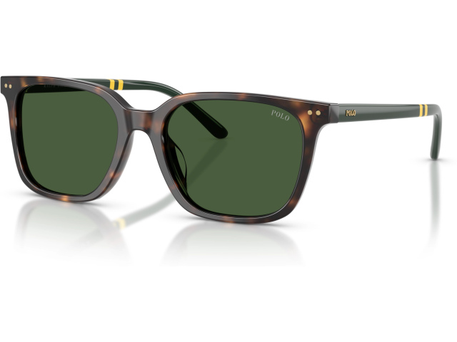 Polo PH4235U 500371 Tortoise