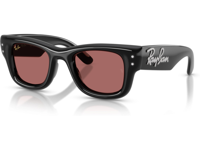 Ray-Ban WAYFARER PUFFER RB4940B 686485 Black