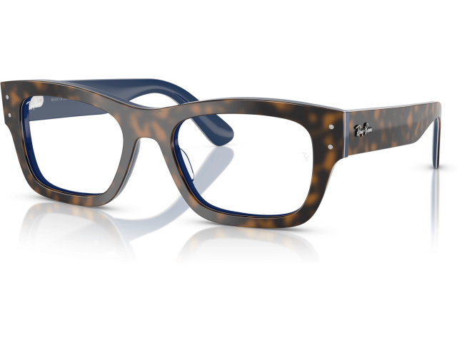 Ray-Ban JOSEPH RX7683V 8391 Tortoise