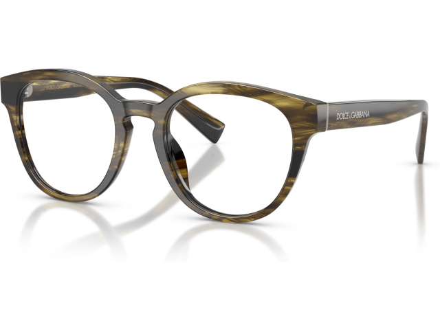 Dolce & Gabbana DG3421 3066 Green