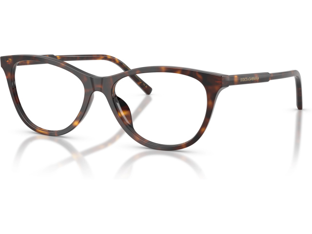 Dolce & Gabbana DG3443 502 Tortoise
