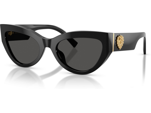 Dolce & Gabbana DG4536 501/87 Black