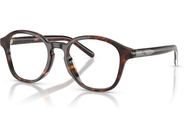 Diesel DL4025U 2003 Tortoise