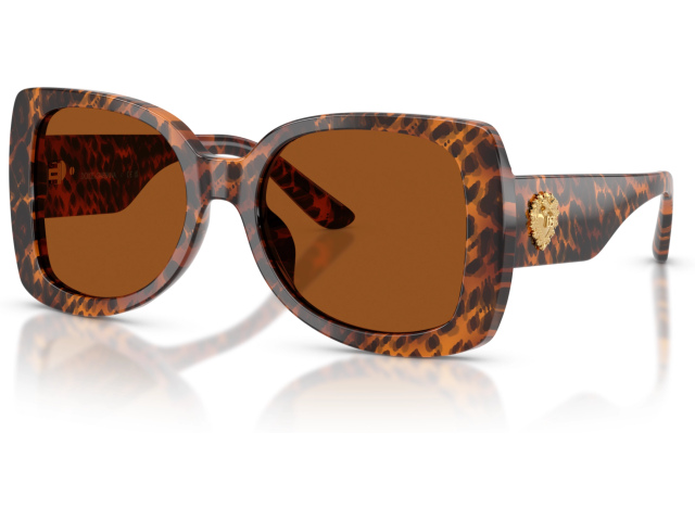 Dolce & Gabbana DX4012 347073 Brown