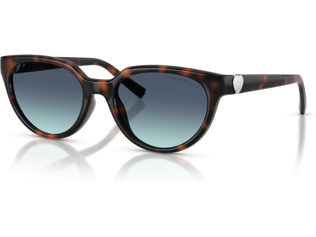 Tiffany TF4256D 80159S Tortoise