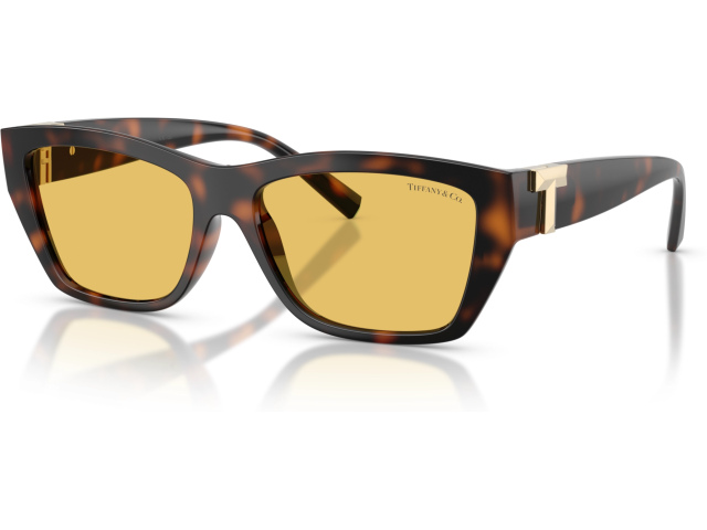 Tiffany TF4255U 845685 Tortoise