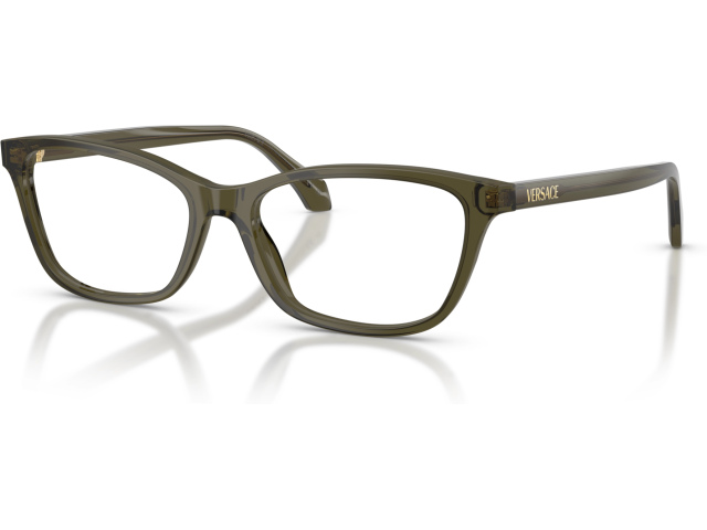 Versace VE3375 5542 Green