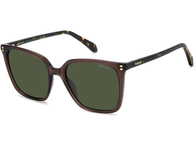 POLAROID PLD 4201/S/X 09Q Brown