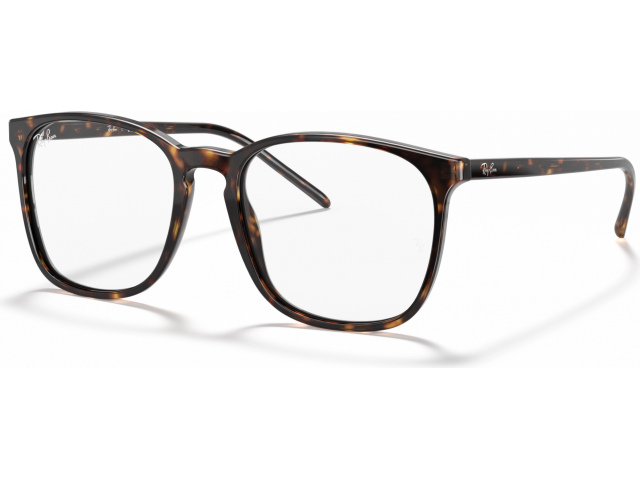 Ray-Ban RX5387 2012