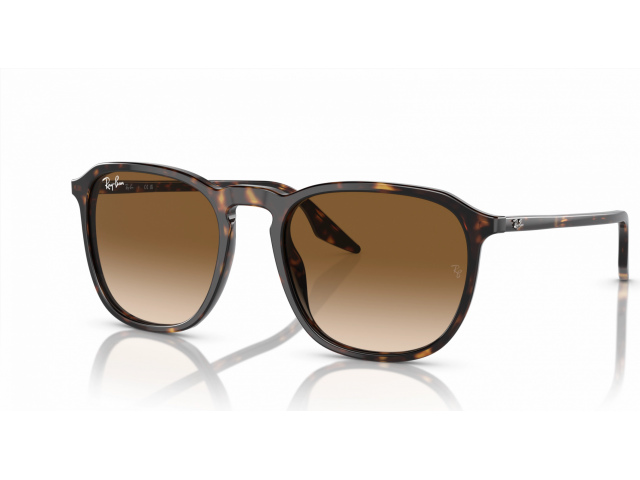 Ray-Ban RB2203 902/51 Tortoise