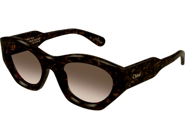 Chloe CH0220S-002 53 Очки солнцезащитные