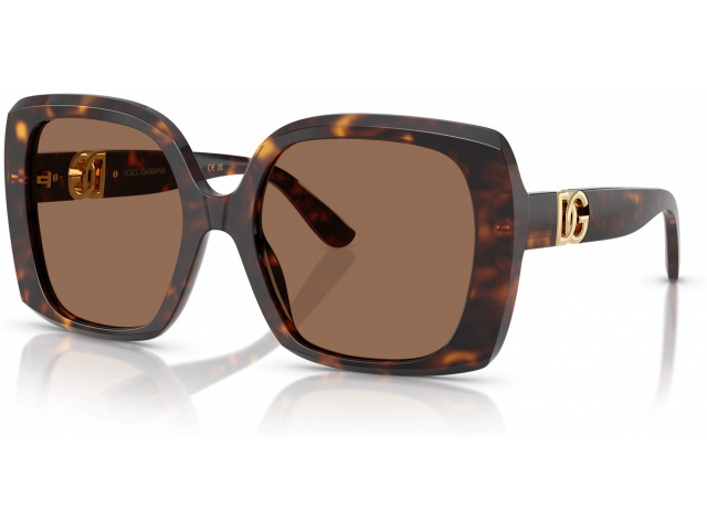 Dolce & Gabbana DG4475 502/73 Tortoise