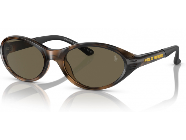 Polo PH4197U 5003/3 Tortoise