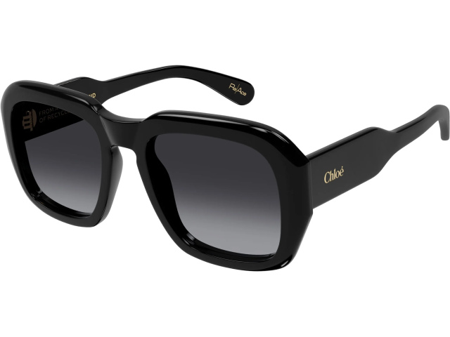 Chloe CH0310S-001 54 Очки солнцезащитные