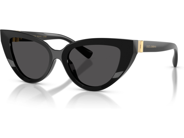 Dolce & Gabbana DG4497 501/87 Black