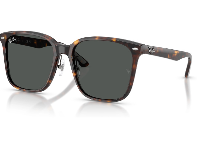 Ray-Ban RB2206D 710/87 Tortoise