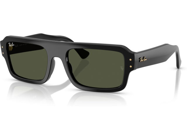 Ray-Ban FLACKO RB4454 667731 Black