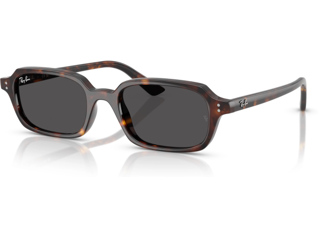 Ray-Ban ZURI RB4455 135987 Tortoise