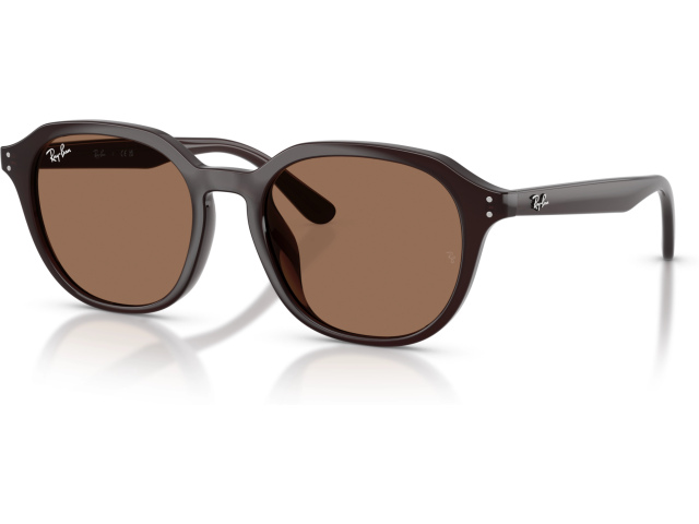 Ray-Ban RB4459D 623173 Brown