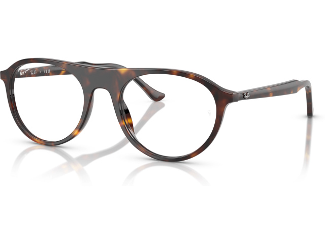 Ray-Ban RX5441 2012 Tortoise