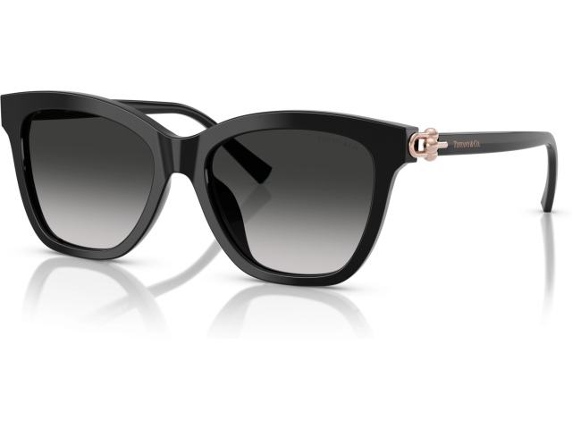 Tiffany TF4241D 80013C Black